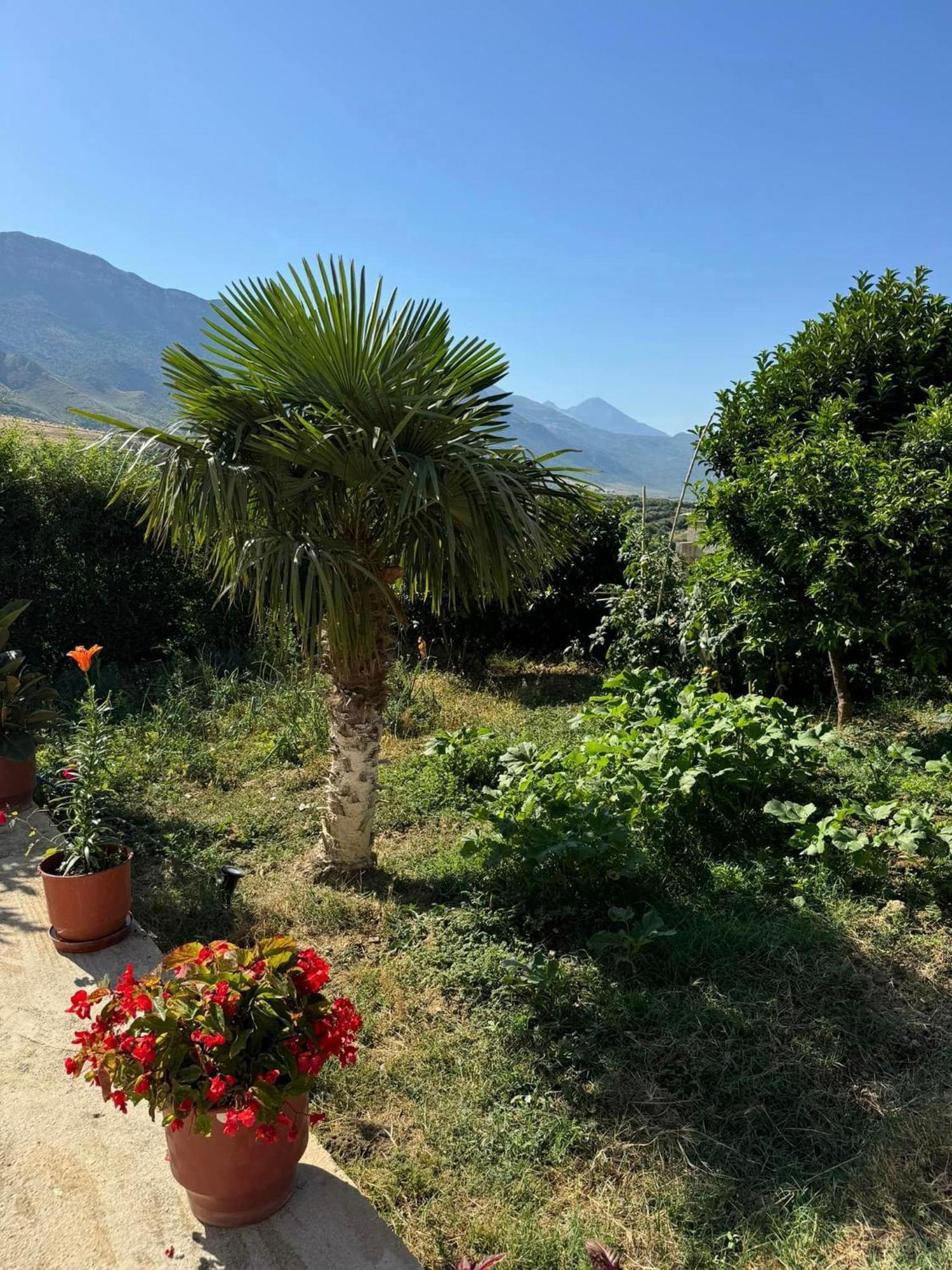 360° View Apartments Vlorë 외부 사진